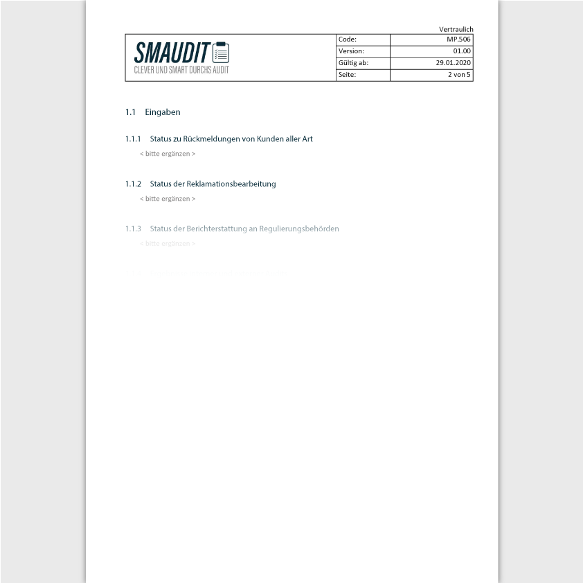 MP.506 - F&T Managementbewertung - SMAUDIT - DIN EN ISO 13485
