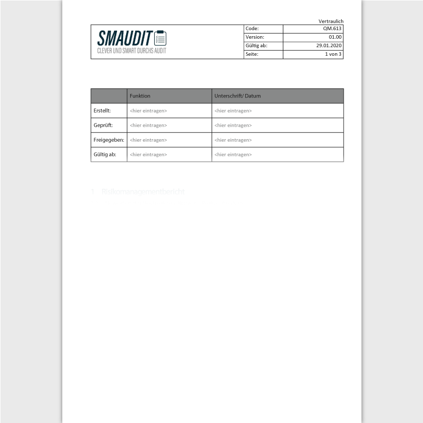 QM.613 - F&T Risikomanagementbericht - SMAUDIT - DIN EN ISO 9001
