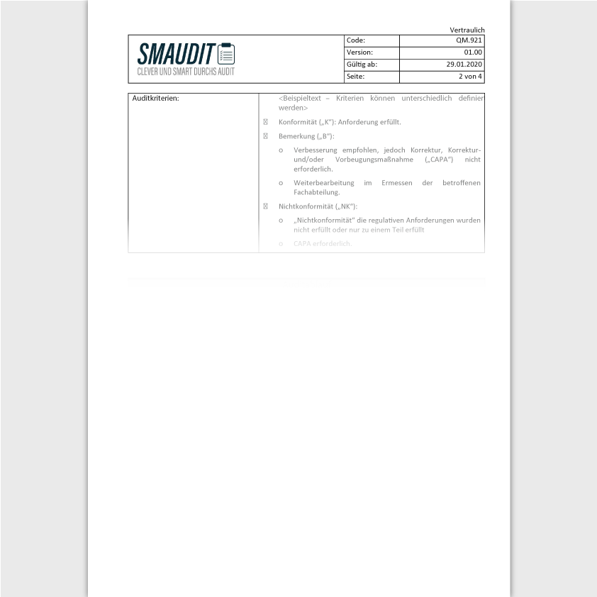 QM.P.001 - Audit-Paket DIN EN ISO 9001 - SMAUDIT - DIN EN ISO 9001