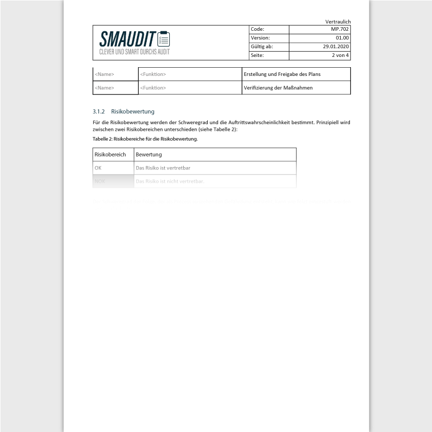 TD.702 - F&T Risikomanagementplan - SMAUDIT - Technische Dokumentation